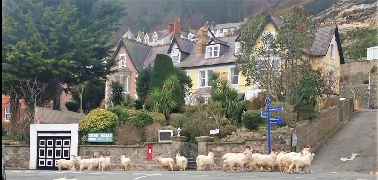 Bron Orme Private Hotel Llandudno Exterior foto